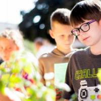 Student inspects a plant at the Groundswell Student Project Showcase.